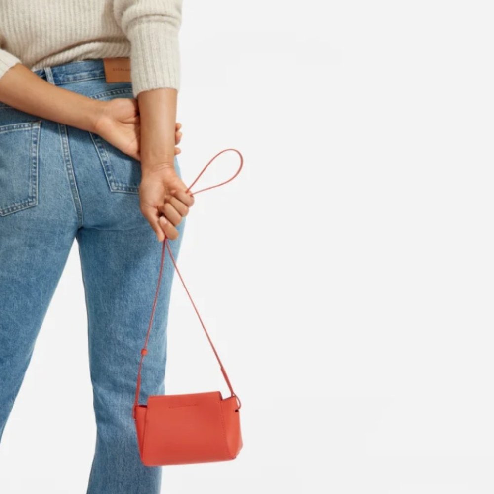 Everlane Micro Form Bag - Red